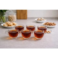 Raşha Collection 6lı Kulpu Çay Fincanı