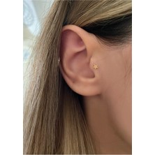 OkkoStore Kadın Cerrahi Çelik Gold Renkli Yıldız Tragus Piercing Kıkırdak