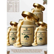 HERDEN 4 x 420 gr Kastamonu Kara Selvi Soymuk Özlü Beyaz Macun