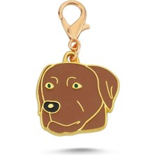 Dalis Pet Kahverengi Labrador Altın Kaplama Mineli Aksesuar