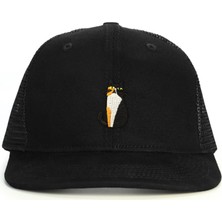 3 Renkli Kedi Calico Snapback Şapka