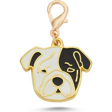 Dalis Pet Ingiliz Buldog Siyah Beyaz Altın Kaplama Mineli Tasma Aksesuarı