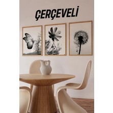 KutuTR 🖼️ Siyah Beyaz Kelebek ve Çiçek Temalı 3'lü Çerçeveli Tablo Seti CRV1060