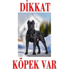 Dalis Pet Dikkat Köpek Var Uyarı Levhası (Renkli Cane Corsa)