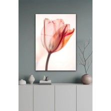 KutuTR Somon ve Turuncu Tonlu Minimal Lale Desenli Temperli Cam Tablo 50X70 cm 2d Uv Baskı - YCT553