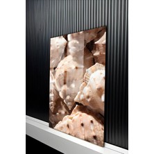 KutuTR Modern Gerçekçi Deniz Kabuğu Desenli Temperli Cam Tablo 50X70 cm 2d Uv Baskı - YCT179