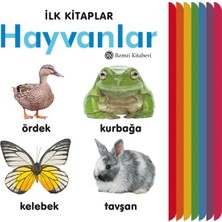 Remzi Kitabevi Ilk Kitaplar - Hayvanlar (Ciltli)