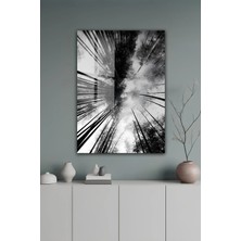 KutuTR Bambu Ormanı Gökyüzü Manzaralı Temperli Cam Tablo 50X70 cm 2d Uv Baskı - YCT115