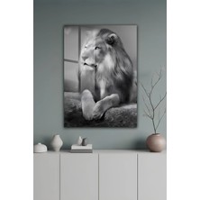KutuTR Siyah Beyaz Aslan Portre Modern Temperli Cam Tablo 2d Uv Baskı - YCT654
