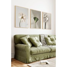 KutuTR Ahşap Çerçeveli 2d Uv Baskı 3'lü Tablo Set–minimalist Tekli Çiçek ve Ginkgo Yaprağı- CRV1355