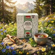 Aslan Pençesi Bitki Çayı - 20 Süzen Poşet