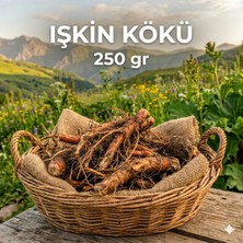 Kademgiller Işkın Kökü 250 gr - Dağların Zirvesinden Gelen Şifa Kaynağı
