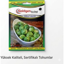 Kademgiller Atalık Geleneksel Brüksel Lahanası Tohumu Yüksek Verimli
