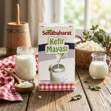 Kademgiller Kefir Mayası Organik