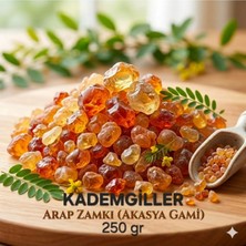 Kademgiller Doğal Arap Zamkı (Akasya Gamı) 250 gr