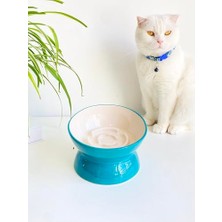 Larskas Seramik Yavaş Yeme Kedi Mama Kabı (Turkuaz)