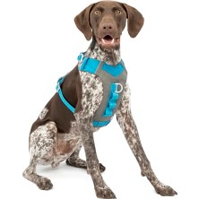 Larskas Journey Air Köpek Koşum Takımı, Dolgulu Göğüs Kısmı ve Saplı, 11-23 kg Arası Köpekler Için, M Beden, Mavi/gri