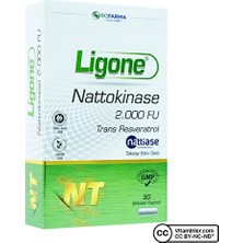 Ligone Nattokinase 30 Kapsül