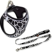 Larskas Air Mesh 2'li Bundle Set Kedi Köpek Göğüs Tasması + Köpek Gezdirme Tasması/kayışı (Dalmaçyalı, 3xs)