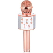 Larskas Babilden C-8501 Karaoke Mikrofon Bluetooth USB & Tf & Aux (Rosegold)
