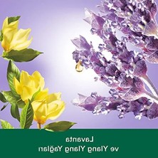 Larskas Ylang Ylang Öz Yağı ile Sıvı El Sabunu - 700 ml