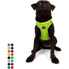 Larskas Kedi Köpek Göğüs Tasması - Yumuşak Nefes Alabilir Dayanıklı, Neon-Sarı, Medium
