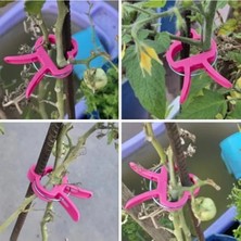 Larskas Orta Boy Bitki Bağlama Mandalı, 10 Adet Pembe Renkli