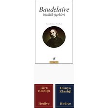 Ayrıntı Yayınları Baudelaire - Kötülük Çiçekleri + Türk ve Dünya Klasiği