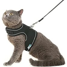 Larskas Nefes Alabilen Kedi Göğüs Tasması Seti, Large Boyut, Siyah