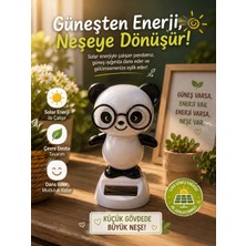 Seymen Bıçakçılık Solar Enerjili Sallanan Ayıcık Biblo – Güneş Enerjisi ile Çalışan Dekoratif Masaüstü Figür – Pil Gerektirmez