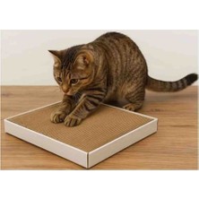 Rass Karton Kedi Tırmalama_dayanıklı ve Uzun Ömürlü 30×38×5 cm 25 Katmandan Oluşur