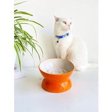 Esranın Dünyası Seramik Yavaş Yeme Kedi Mama Kabı (Turuncu)
