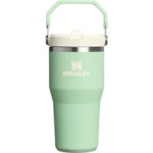 Esranın Dünyası Stanley The Iceflow Yeşil Termos (10-13425-047)
