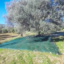 Esranın Dünyası Zeytin Toplama Filesi -%75'lik Yeşil File - Zeytin Sergenliği - Ceviz ve Dut Toplama Filesi - 6 M x 6 M