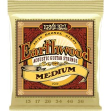 Esranın Dünyası Ernie Ball Medium Earthwood 80/20 Bronz Akustik Gitar Telleri 13-56 Kalınlık