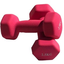 Zepca Ithal Fitness Pembe Dambıl 2 x 2,5 kg Neopren Kaplama Kaymaz ve Çevre Dostu