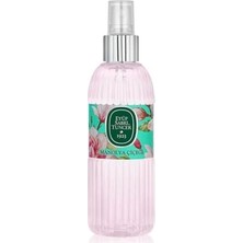 Esranın Dünyası Manolya Çiçeği Kolonyası 150 ml Silindir Pet Şişe