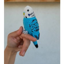 Renkli Ve Kreatif Amigurumi Örgüoyuncak Kuş
