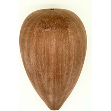 Telli Çalgı Yapım Yaprak Maun Klasik Tekne 48 cm – Bağlama Teknesi (Yarı Mamul)