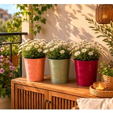 Naturel Metal Naturelmetal Galvaniz Metal Balkon Bahçe Saksı Üçlü Set Karışık Renk