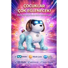 LRS Store Dans Eden Sesli Işıklı Robot Köpek Eğitici Müzikli Dans Eden Sesli Işıklı Köpek Robotu