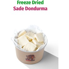 ÇITLAT ÇEREZ SHOP Freeze Dried Sade Dondurma – Kurutulmuş Çıtır Dondurma Küpleri, Astronot Dondurması