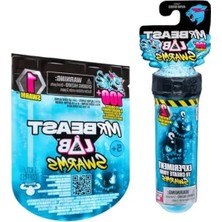 Larskas Mr. Beast Lab Swarms Test Tüpü 2'li Paket, 2,54 cm Temalı Sürüler Koleksiyonluk Mr. Beast Lab La Mystery 1 Inç Figür Tekli Paket, 1 Paket