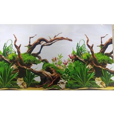 Canlipetshop Arka Fon N0:8074 (Yati Dekor) 50 cm Uzunluk 30 cm Yükseklik