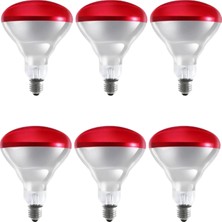AyrStore Buğz (6 Adet) 250W Kızılötesi Isıtıcılı Hayvan Isıtma ve Kuluçka Lambası (Kırmızı Iş�