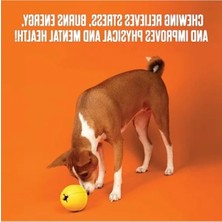 Aesco Kauçuk Çiğneme Oyuncağı, Güçlü Çiğneyiciler Için Tasarlandı