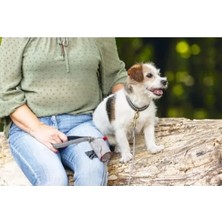 Aesco Pratik Köpek Dışkı Toplama Poşeti Taşıma Çantası