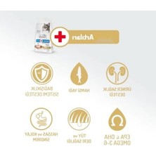 Aesco 5 kg Kolajenli Somonlu Az Tahıllı Yetişkin Kedi Maması