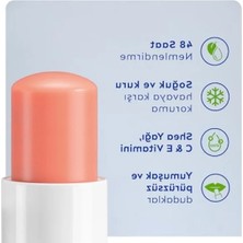 Aesco Şeftali Aromalı Dudak Bakım Kremi - 4,8 gr