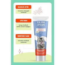 Aesco Rahatlatıcı Kedi Macunu 100G - Stres Azaltıcı ve Sindirim Destekleyici